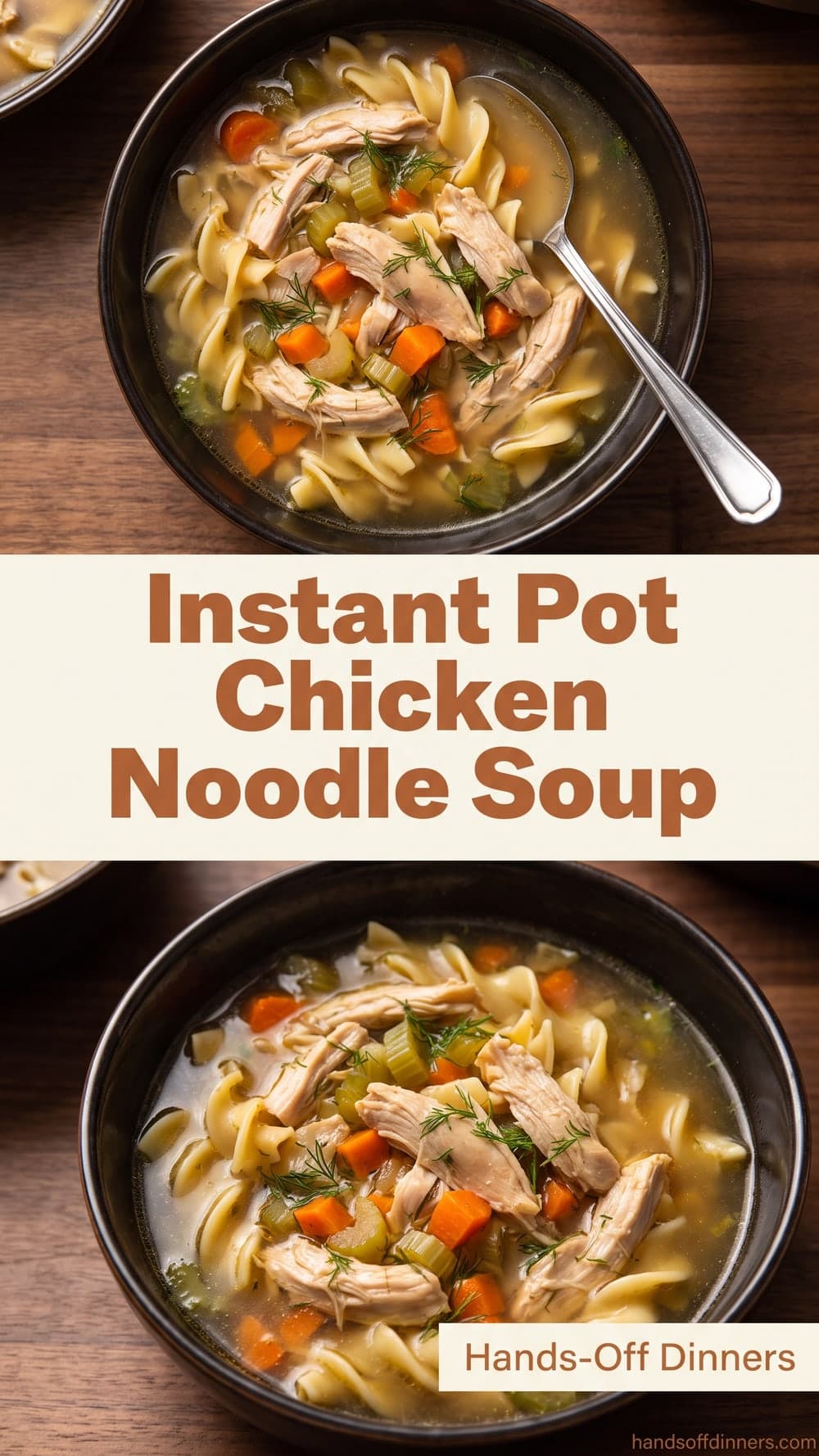 Instant Pot Chicken Noodle Soup